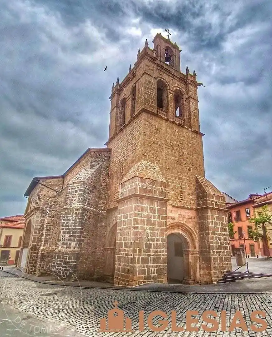 Colegiata de Santa María la Mayor - Salas Colegiata de Santa María la Mayor - Salas