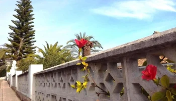 Ermita de Sant Pere - Oliva