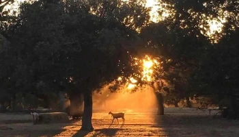 Iglesia de Nuestra Señora Virgen de la Encina - Galindo Y Perahuy Iglesia de Nuestra Señora Virgen de la Encina - Galindo Y Perahuy