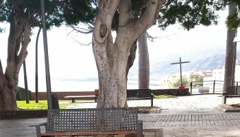 Parroquia de Nuestra Señora de la Encarnación - Santa Cruz De La Palma
