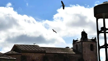 Parroquia Nuestra Señora de la Asunción y San Agustín - Valdefuentes