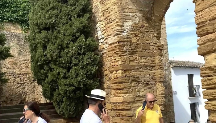 Colegiata De Santa Maria -  Videos - Antequera