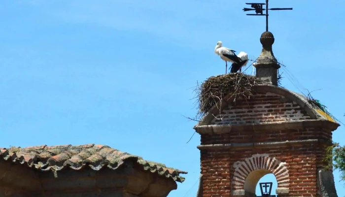 Convento De Nuestra Senora De La Gracia Fotos - Ávila