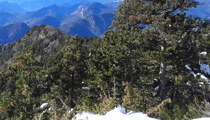 Ermita De San Martin De Ogassa Abierto Ahora - Sant Martí D'ogassa