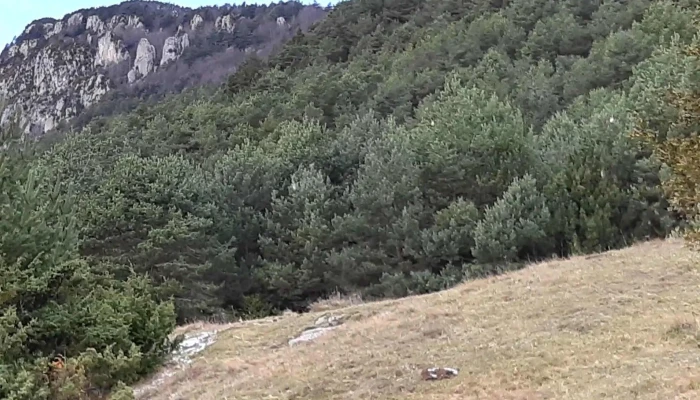 Ermita De San Martin De Ogassa Descuentos - Sant Martí D'ogassa