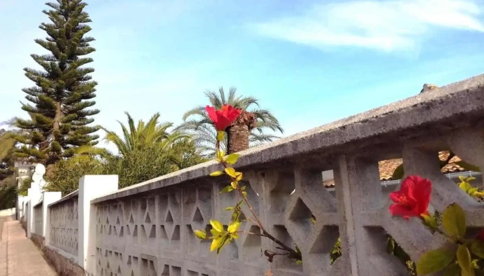 Ermita de Sant Pere - Oliva
