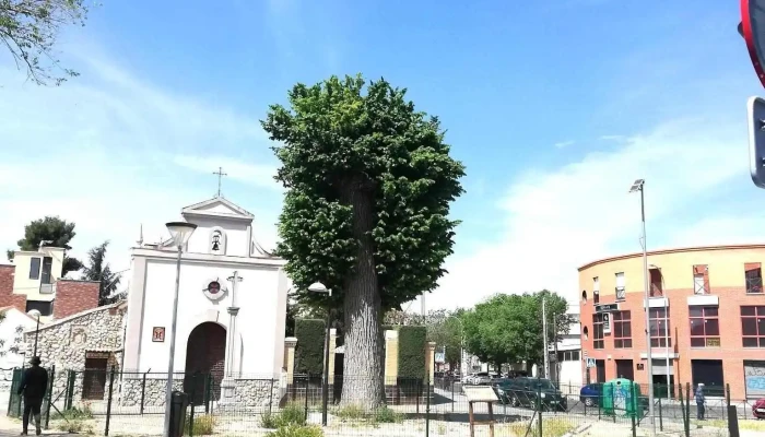 Ermita Del Cristo Del Calvario -  Capilla - Pinto