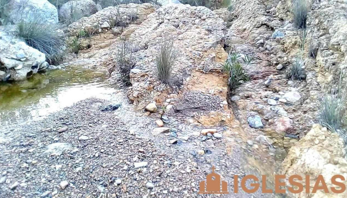 Galifa -  Videos - Galifa