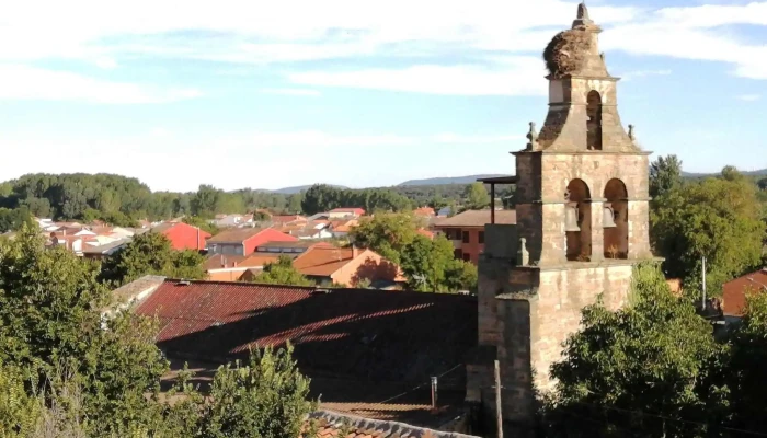 Iglesia De El Salvador -  Iglesia - Castrocalbón