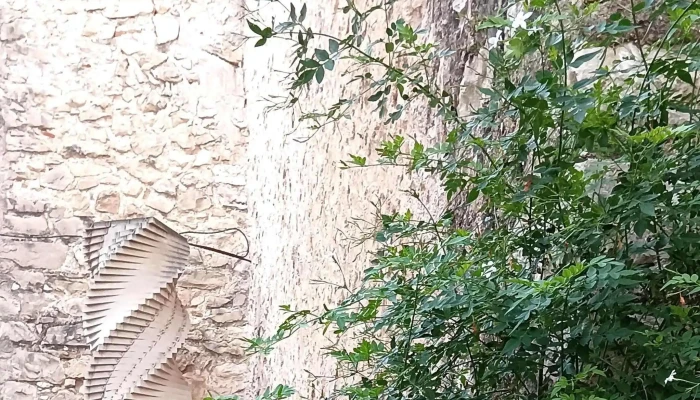 Iglesia De La Inmaculada Concepcion Zona - Otos