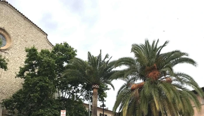 Iglesia De Lloseta -  Promocion - Lloseta