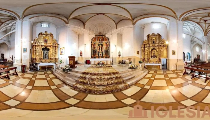 Iglesia de Nuestra Señora de La Asunción - Castrillo De Don Juan