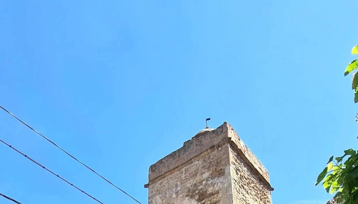 Iglesia De Purificacion De Nuestra Senora Numero - Olvena
