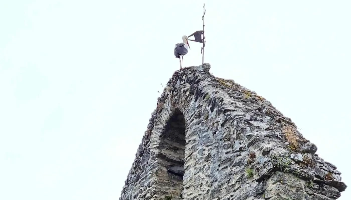 Iglesia De San Andres De La Faba Direccion - La Faba