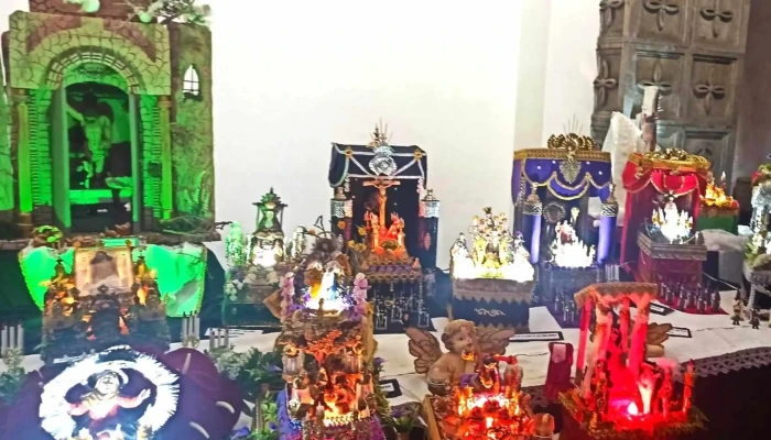 Iglesia De San Francisco De Borja -  Videos - Las Palmas de Gran Canaria