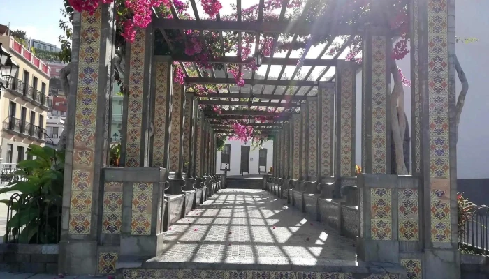 Iglesia De San Miguel Arcangel Videos - Tazacorte