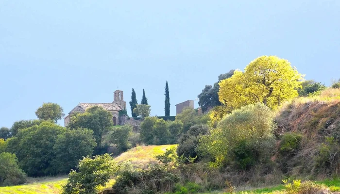 Iglesia De Sant Miquel De Vilaplana -  Catalogo - Lleida