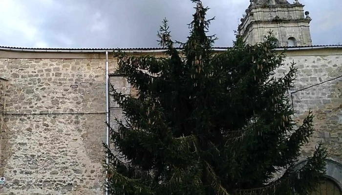 Iglesia De Santa Maria Catalogo - Gesaltza Añana