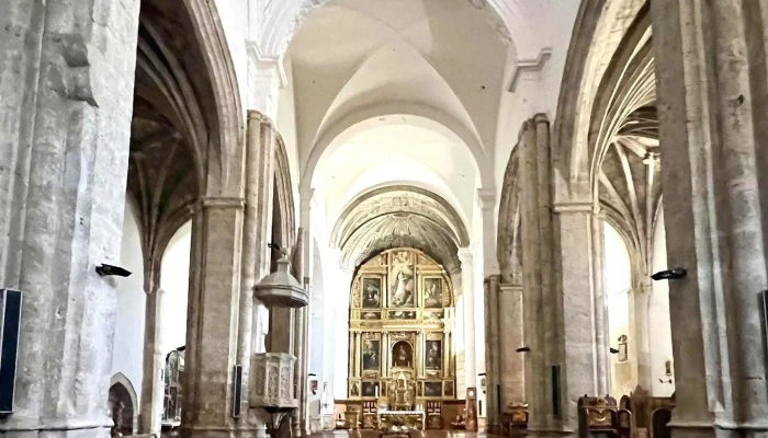 Iglesia De Santa Maria Fotos - Paredes de Nava