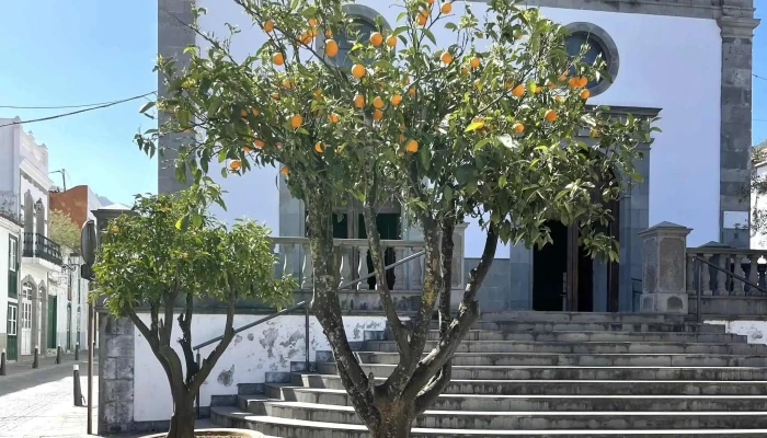 Iglesia De Vega De San Mateo -  Telefono - Vega de San Mateo