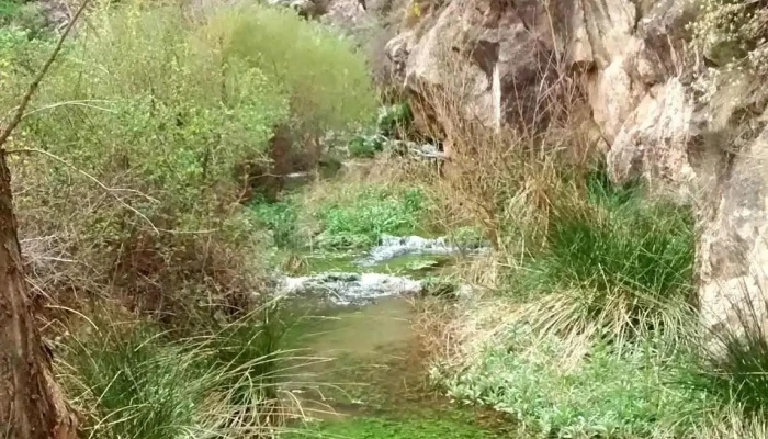 Martin Del Rio Iglesias - Martín del Río