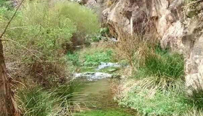 Martín del Río - Martín Del Río