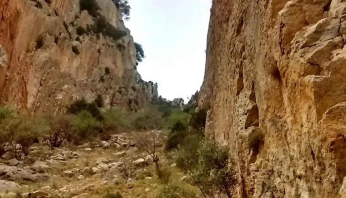 Martin Del Rio Montana - Martín del Río