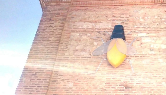 Mosca (Pared lateral de la Iglesia) - León