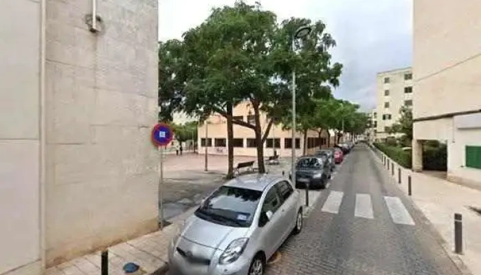 Parroquia De Nuestra Senora De Lluc De Palma Virgen De Lluc Videos - Palma