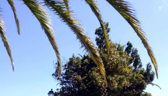 Parroquia De San Juan -  Telefono - San Juan