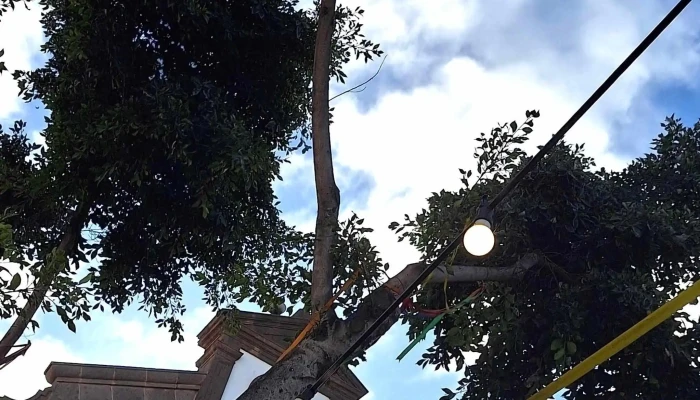 Parroquia De San Pedro Apostol Telefono - Bañaderos