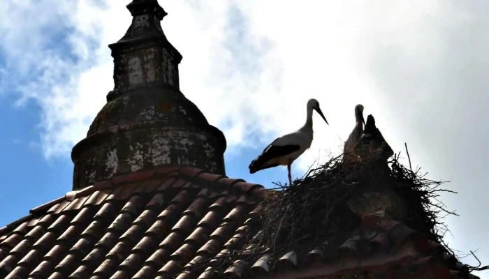 Parroquia Nuestra Senora De La Asuncion Y San Agustin Horario - Valdefuentes