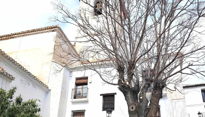 Parroquia Nuestra Senora De La Cabeza Puntaje - Capileira