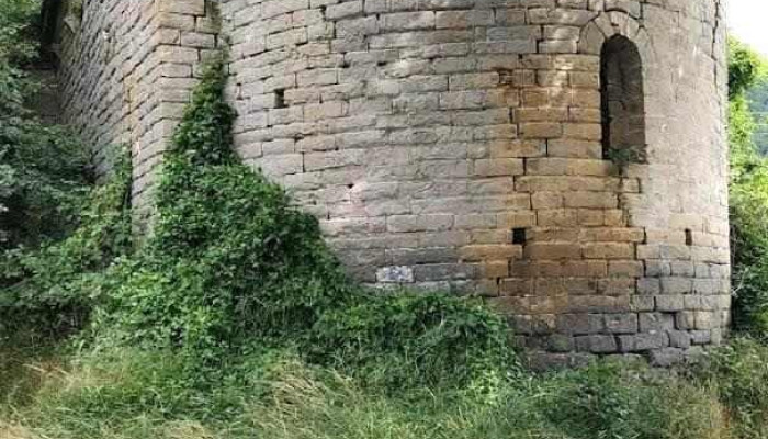 Ruinas de la iglesia de San Vicente (s.xi) - Huesca
