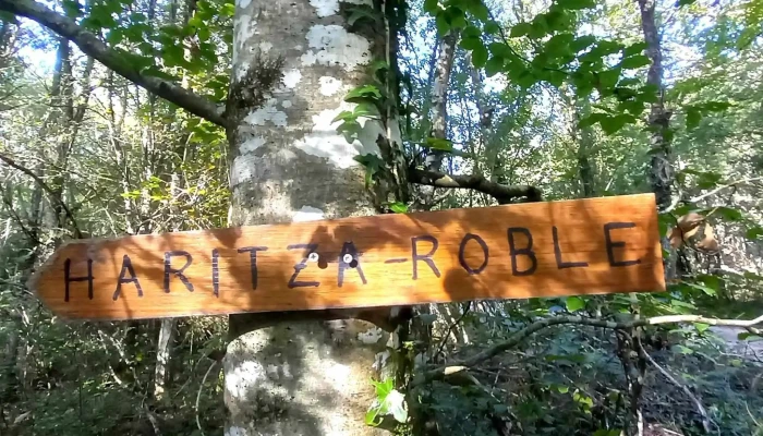 San Adrian Ermita -  Catalogo - Etxarri-aranatz